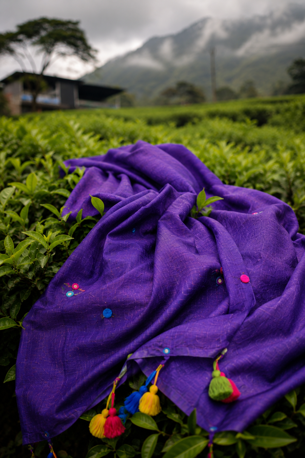 Grape Gola — Violet Purple Mirror & Pompom Mul Mul Saree